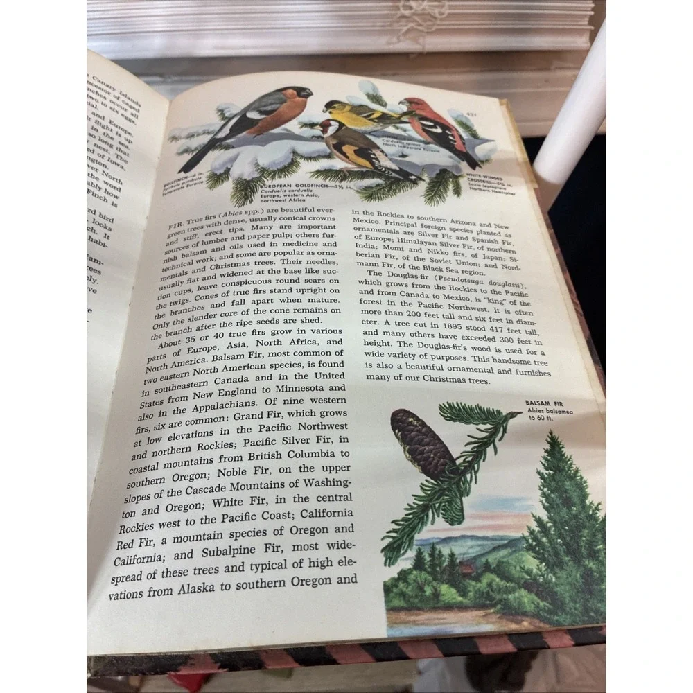 The Golden Book Encyclopedia of Natural Science Volume 5